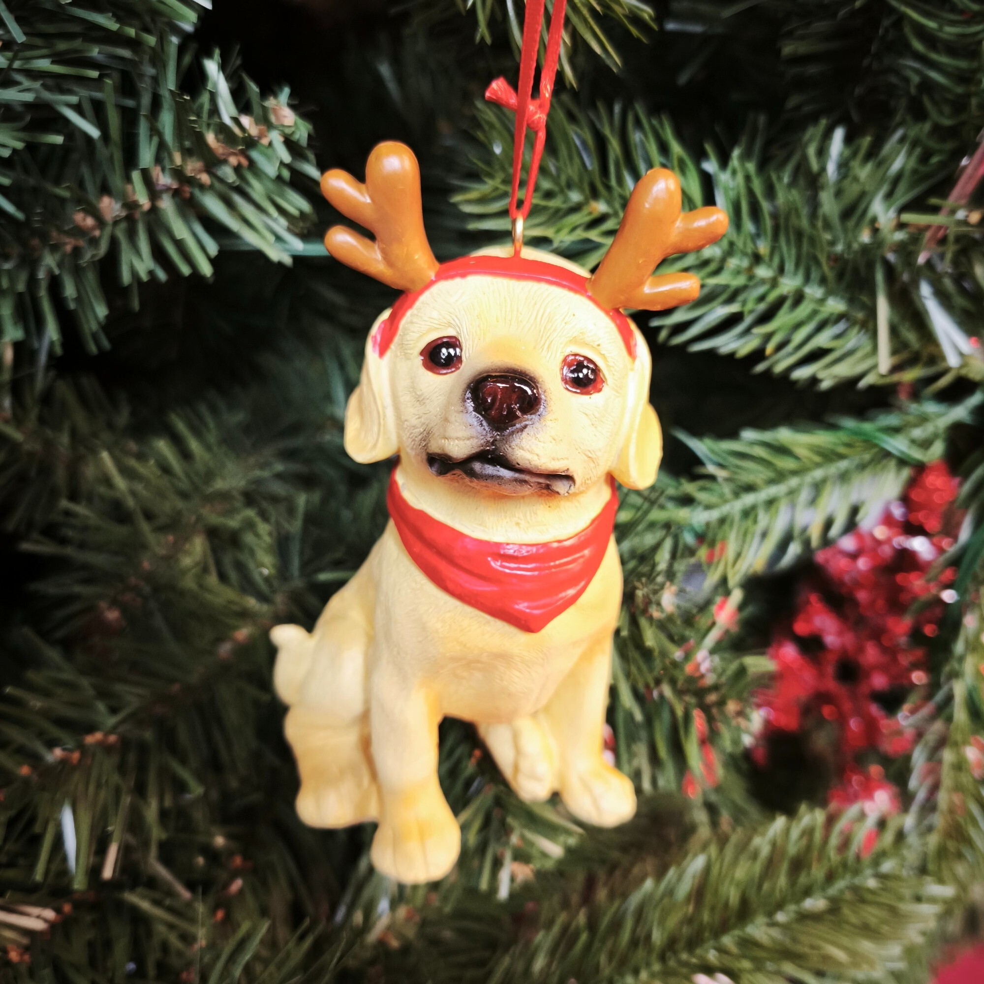 Ornement de Noël en forme de labrador jaune avec bois de renne, 5 po, par Holiday Time