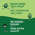 thumbnail image 3 of GoGo squeeZ Fruit Sauce Snack Pouches Multi-, Apple, No Sugar Added Box of 22 Pouches, 3 of 7