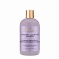 thumbnail image 1 of Shea Moisture Purple Rice Water Shampoo, 1 of 9