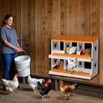 thumbnail image 2 of Chicken Nesting Box, 6 Compartment Metal Nesting Boxes for Chicken Coop, Roll Away Nest Box, Easy Egg Collection, Easy to Clean and Install, Chicken Laying Boxes,Orange, 2 of 7
