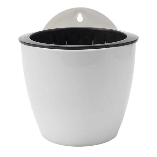Wall-mounted flower pot automatic water-absorbing plastic green dill