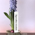 thumbnail image 4 of Plant Marker Garden Labels Flexible Plastic Tags Nursery 10x2 cm, 4 of 11