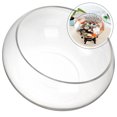 thumbnail image 4 of Miangastore Bol à Poisson en Verre Bol Rond en Verre Plante Terrarium de Bureau Bol à Poisson Transparent pour la Maison, 4 of 8