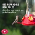 thumbnail image 3 of Perky-Pet Adjustable Perch Glass 20 oz Hummingbird Feeder, 3 of 9