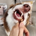 thumbnail image 4 of Purely Paws All-Natural Beef Esophagus Sticks - Safe, Fully-Digestible, High-Reward Dog Chew Sticks - Rawhide Free - (6 Inch, 5 Count), 4 of 8