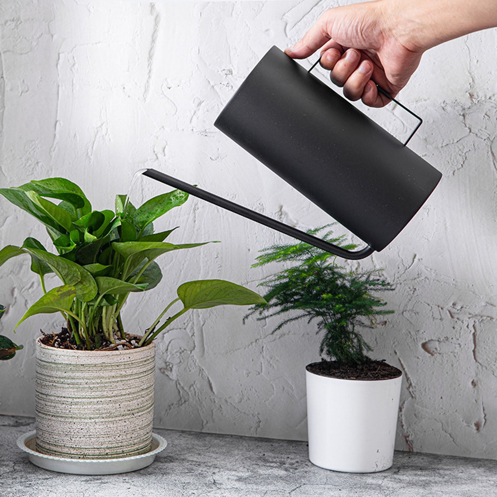 EDHITNR 1.5L Stainless Steel Watering Can Metal Watering Can with Long Spout for Precise Watering, Ergonomic Handle Indoor Outdoor Watering Can, Black