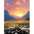 thumbnail image 1 of Daisy Field Sunset Canvas Wall Art 15.75x11.81 Inches, 1 of 8