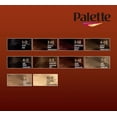 thumbnail image 2 of Palette Intensive Oil Care Color 5-68 Golden Chestnut, 2 of 3