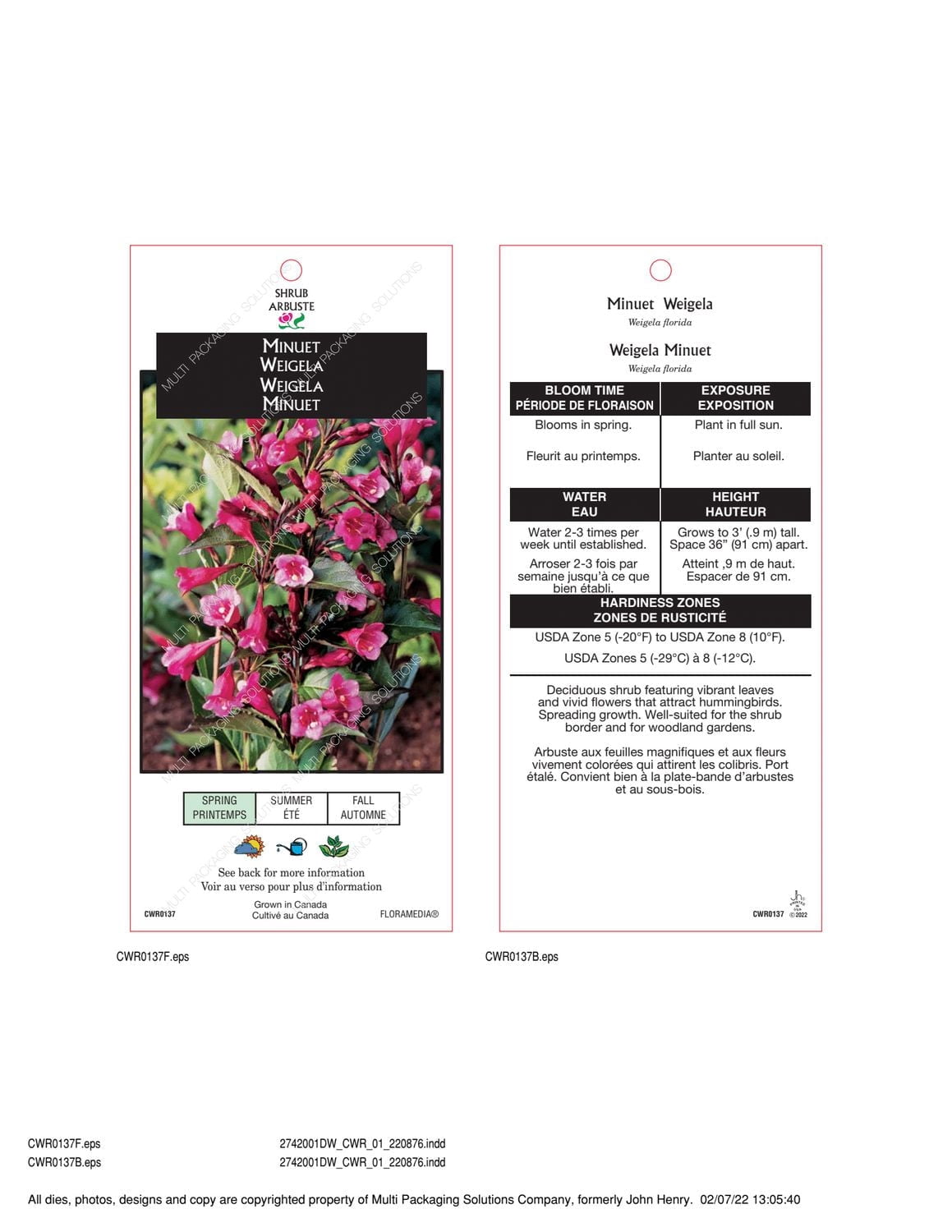 Ensemble de arbuste 6 contenants de 1 gallon jardin dautomne