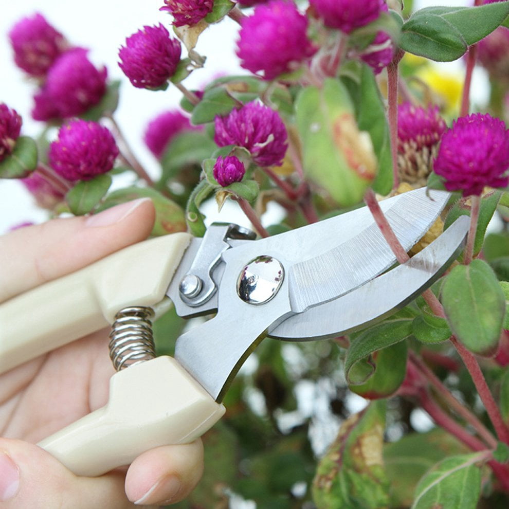 Stainless Steel Garden Scissors Grafting Tool Fruit Tree Pruning Shears Pruner