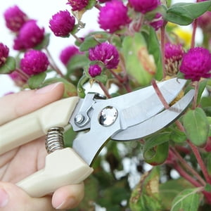 Stainless Steel Garden Scissors Grafting Tool Fruit Tree Pruning Shears Pruner