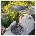 thumbnail image 1 of Oakland Living Antique Bronze Rose Birdbath, 1 of 4
