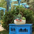thumbnail image 4 of Ceramic Plant Pot Rattan Handheld Succulent Pots Planter For All Indoor Plants Flowers, 4 of 9