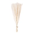 thumbnail image 1 of Flower Arrangement Dried Pampas Grass Real Plants Natural Herb Bouquet For Wedding Home Decoration Net Red Little Reed, 1 of 10