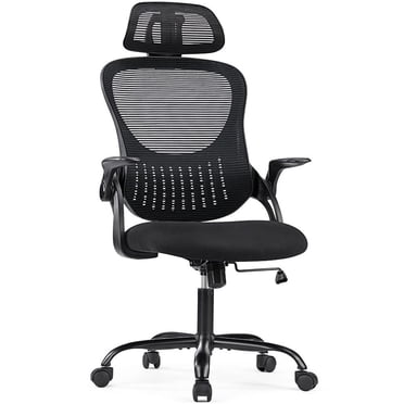 EDX Ergonomic Mesh Office Chair, Adjustable Height with Lumbar Support, Flipped up Armrests, Headrest, Black