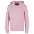 thumbnail image 1 of Build Your Brand Boys/Girls Hoodie, 1 of 4