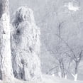 thumbnail image 2 of Meitianfacai 5 In 1 Ghillie Suit, 3D Camouflage Hunting Apparel Including Jacket, Pants, Hood, Carry Bag, 2 of 4