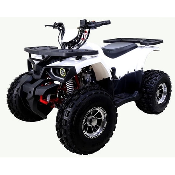 Tao Motor Raptor 125 ATV Mid Size ATV Limited Edition (Assembly Required), White