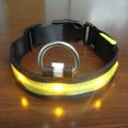 thumbnail image 4 of Collier Lumineux Réglable pour Animaux de Compagnie Randonnée Animaux Nuit Marche Animal Allumé Choker Portable Lavable Colliers Animaux de Compagnie Fournitures Cadeau Jaune S, 4 of 8