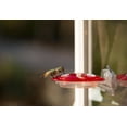 thumbnail image 2 of More Birds 3-in-1 Hummingbird Feeder - Red Hanging Multi-Use Feeder with 6oz Nectar Capacity & Bee Guard, 2 of 4