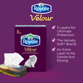 thumbnail image 3 of Royale Velour, 3 Ply Facial Tissue, 6 Flat Boxes, 82 Tissues per Box, 3 of 21