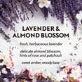 thumbnail image 4 of Air Wick Essential Mist Recharge pour Diffuseur d'Huile Parfumée, Fleurs de Lavande & Amande, 1 Unité, Désodorisant d'Air, 4 of 9