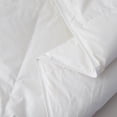thumbnail image 3 of Tous-Saison Couette Premium & Duvet et Plumes, 3 of 5