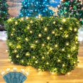 thumbnail image 1 of Novelty Lights 4x6 LED Net Lights, 100 Warm White Bulbs, Green Wire, 1 of 6