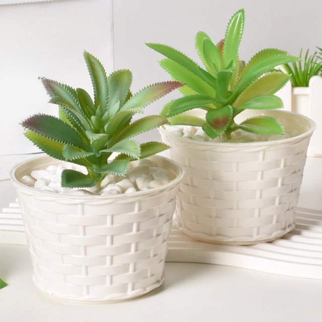 Plastic Basin Plastic Flower Pot for Succulents 3 Sizes Small Plant Container Indoor Outdoor Decor 1Pcs 12.5x7.7cm Rkxzt