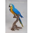 thumbnail image 3 of Garden Decor Animal Statue Large Blue/Yellow Macaw Statue, 3 of 4