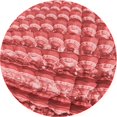 thumbnail image 1 of Ahgly Company Tapis d'Intérieur Ronds Transitionnels Rouges Lavables à la Machine, 8 Pieds Rond, 1 of 7