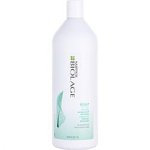 BIOLAGE by Matrix SCALPSYNC ANTIDANDRUFF SHAMPOO 33.8 OZ For UNISEX