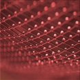 thumbnail image 1 of Ahgly Company Machine Washable Indoor Square Transitional Cranberry Red Area Rugs, 7' Square, 1 of 7