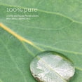 thumbnail image 3 of NOW Foods - 100% Pure Essential Oil Eucalyptus - 1 fl. oz., 3 of 5