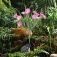 thumbnail image 4 of Boovnll Solar Garden Lights, Forty-Two LED Daisies Lights, For Yard, Gardens Decor, 4 of 8
