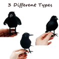 thumbnail image 2 of 3/6Pcs Halloween Black Crow Model Simulation Fake Bird Animal Scary Toys For Halloween Party Home Decoration Horror Props, 2 of 5