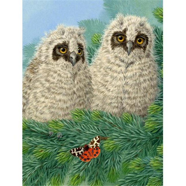 Carolines Treasures ASA2126GF Owlets Flag Garden Size