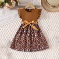 thumbnail image 1 of Pisexur Girls Dresses , Robes d'Été pour Bébés Filles, Robe Tricotée Imprimée Sans Manches à Col Rond Longueur Genou Marron, 1 of 3