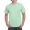 thumbnail image 1 of Gildan Mens Heavy Cotton T-Shirt, M, Mint Green, 1 of 2