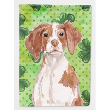 Carolines Treasures BB9539CHF Brittany Spaniel St. Patricks Canvas House Flag