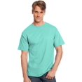 thumbnail image 1 of Hanes Men's Authentic-T T-Shirt, 1 of 1