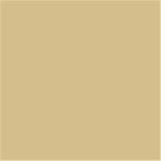 Mission Models MIOMMP-044 Bouteille de Peinture Acrylique Modèle 1 oz, Pierre Claire