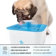 thumbnail image 3 of Paw Perfect Pet Water Fountain with Triple Filtration, BPA Free, 2.5L Capacity, 3 Flow Modes, Includes 3 Filters, Portable Cord, Blue, 3 of 6