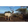 thumbnail image 3 of WAY OF THE HUNTER: WILD EXPEDITIONS POUR (PS5), 3 of 9