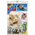 thumbnail image 2 of Keith Kimberlin - Collage de chiots et de chatons, 2 of 4