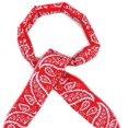 thumbnail image 1 of QIDESHIP Foulard Serviette Colorée et Fraîche Rouge, Ballon de Fête en Tissu, 1 Weibo, Foulard Serviette Fraîche Tour de Cou Réutilisable Foulard d'Été Rafraîchissante en Glace Bandeau Bracelet pour Yoga Sport Course Camping pour la Maison, 1 of 9