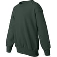 thumbnail image 4 of Hanes ComfortBlend EcoSmart Chandail à Col Rond pour Garçon, P, Vert Forêt Profond, 4 of 6