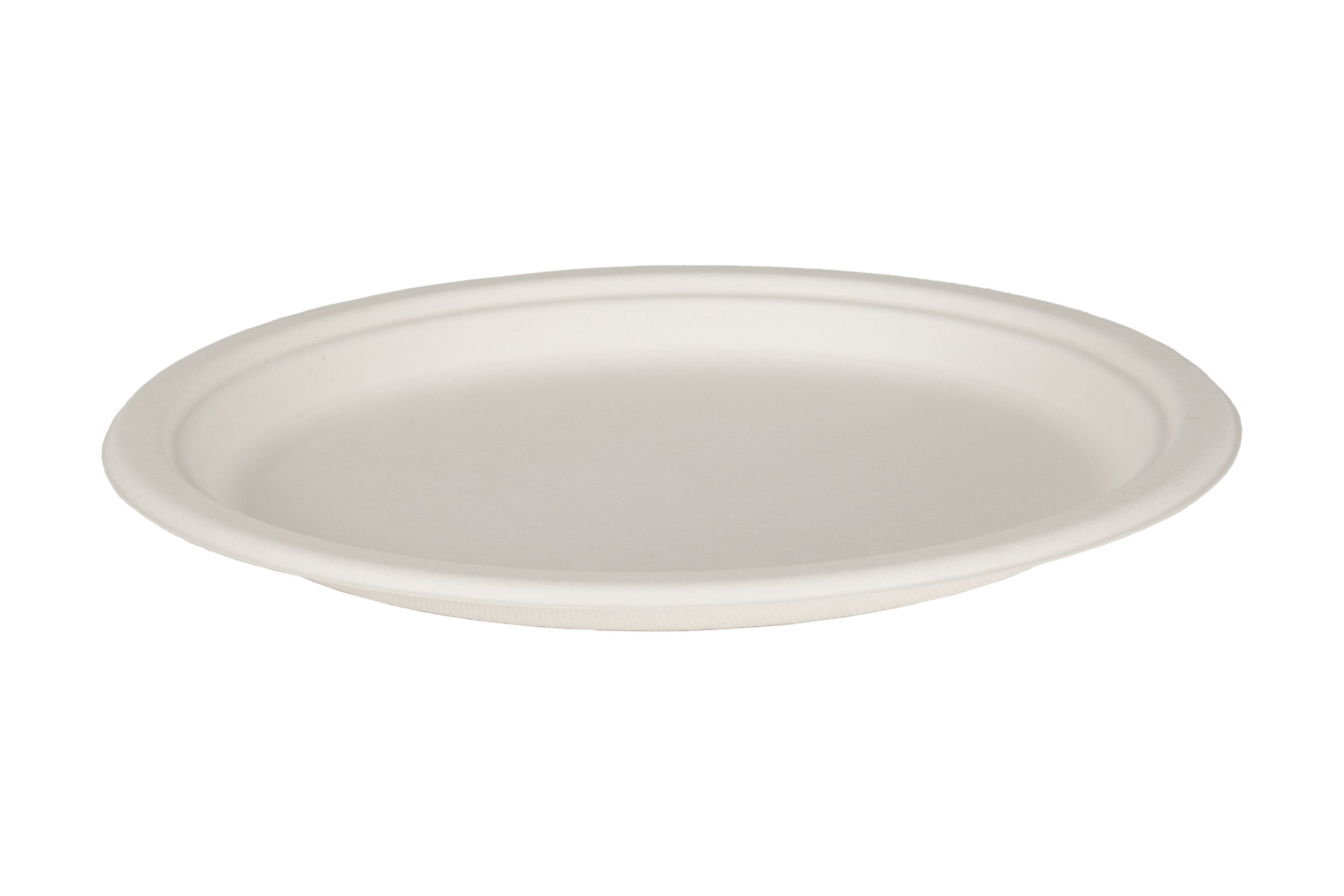 iECO Assiettes à dîner en bagasse 10 po, 125 assiettes