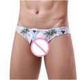 thumbnail image 2 of LSLJS Mens Bikini Swimwear Men's Sexy Low Rise Thong Swim Briefs Drawstring Sport Swimsuit, 2 of 8