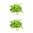 thumbnail image 4 of maskred Vibrant 400 Pieces Round Cupped Loose Sequins Sewing Embellishment 7mm Green 2Set, 4 of 6